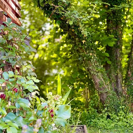 - Freistehendes Fuer 2-6 Personen Ferienhaus